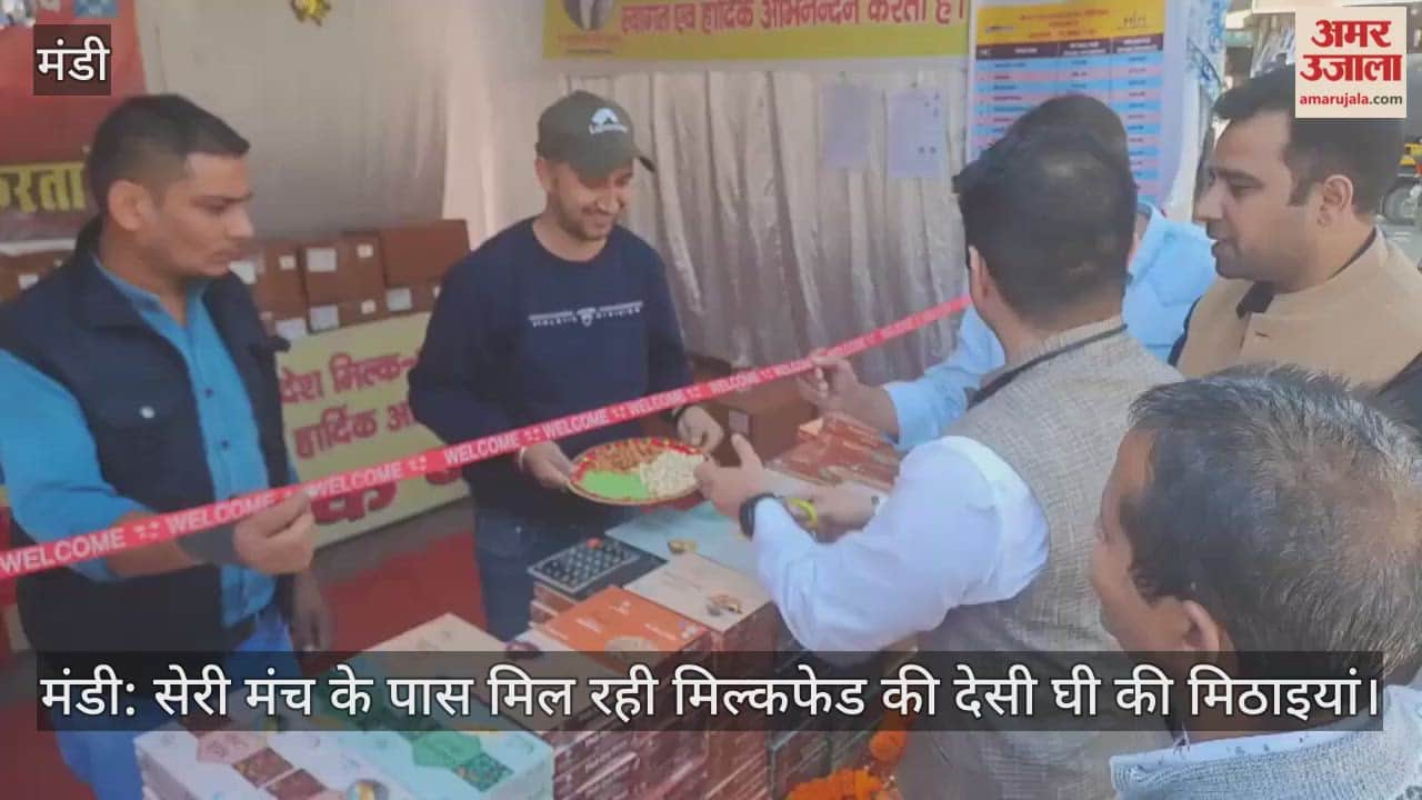 Mandi: Milkfed's pure desi ghee sweets available near Seri Manch