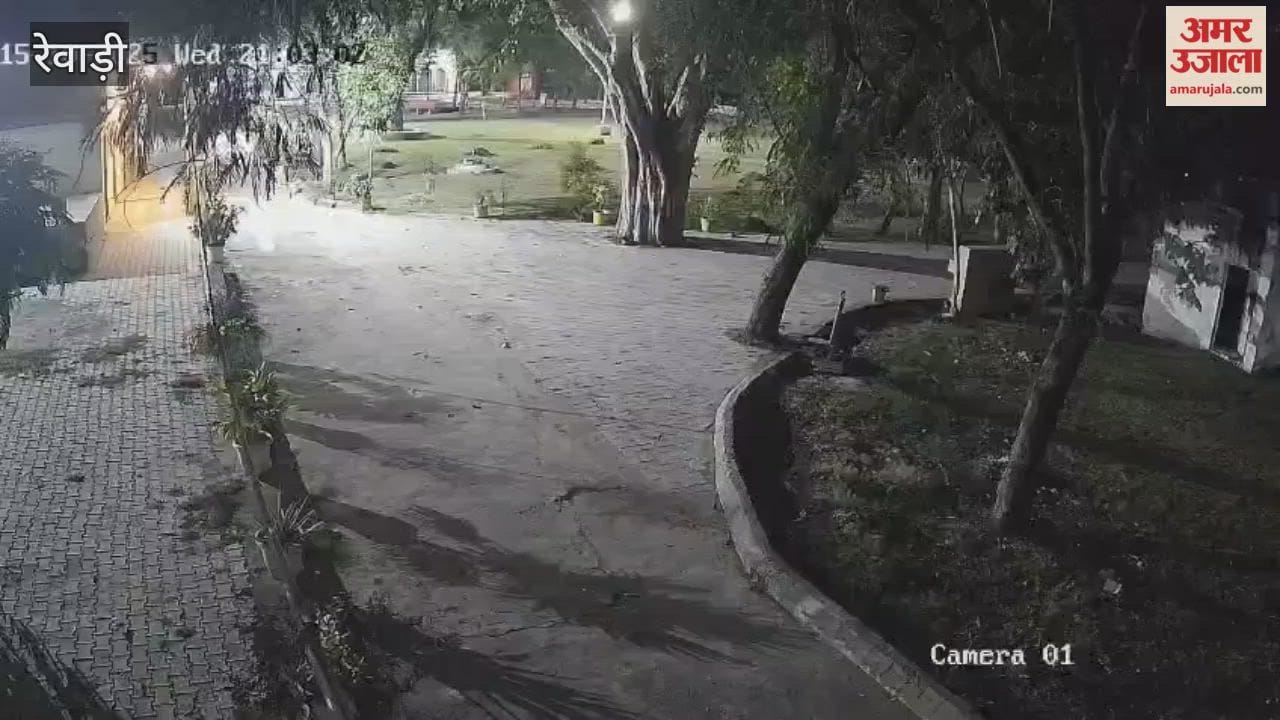 Animal spotted at Bawal College in Rewari, panic ensues
