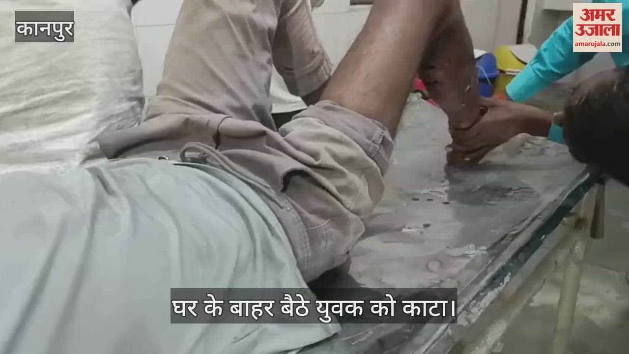 कानपुर: कटखने बंदर ने युवक को बुरी तरह काटा, ग्रामीण बोले- शिकायत के बाद भी नहीं पकड़ा गया