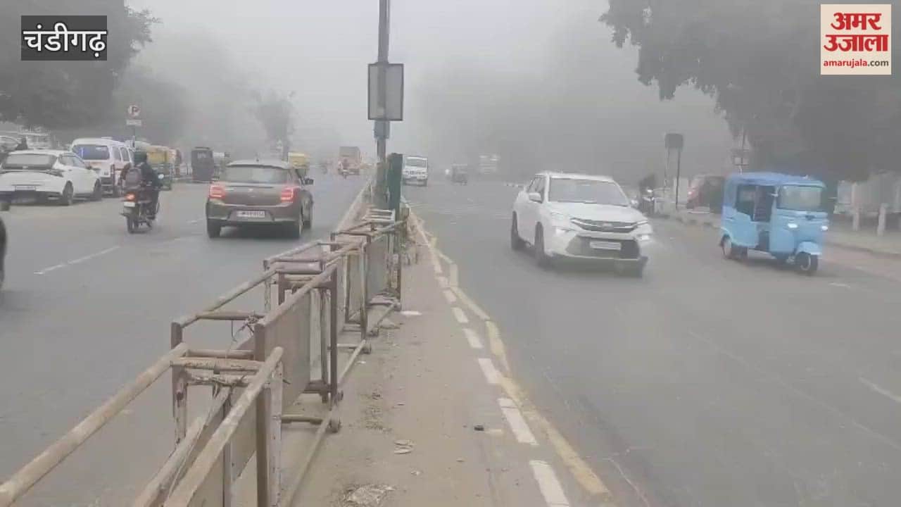 Fog in chandigarh