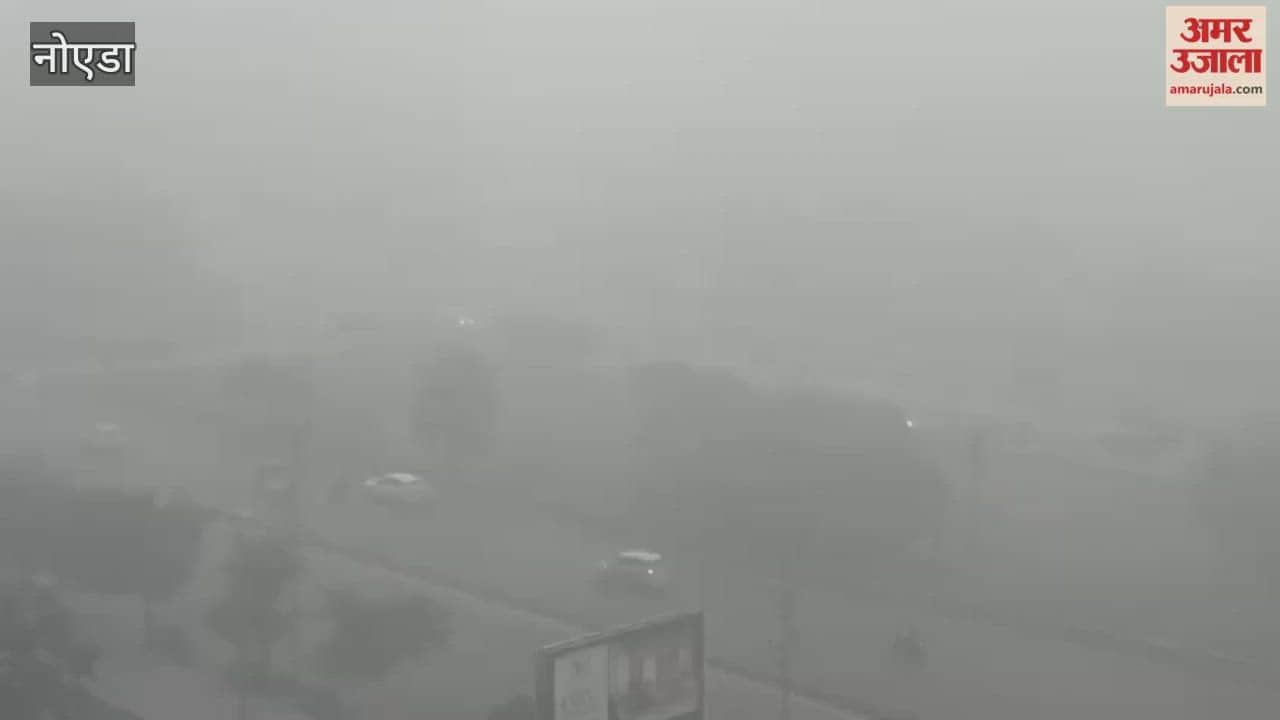 Dense fog blankets Greater Noida and visibility is near zero