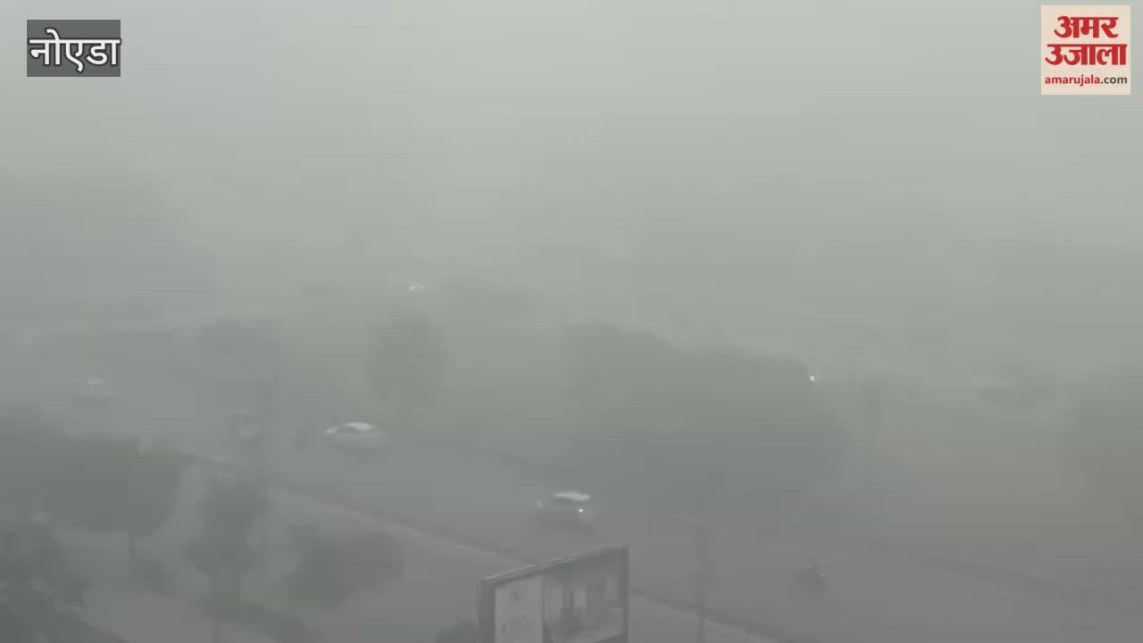 Dense fog blankets Greater Noida and visibility is near zero