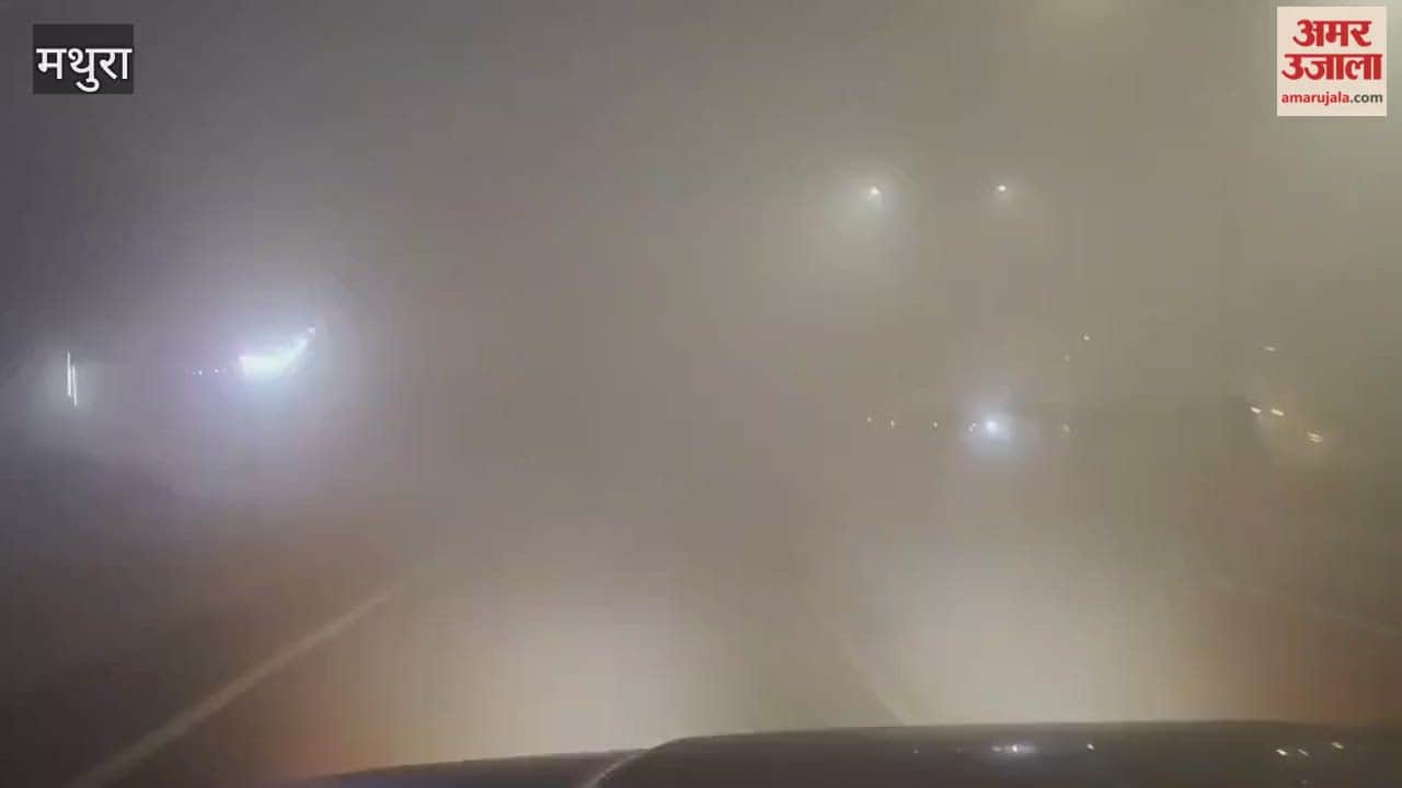 Dense Fog Hits Chaumuhan Highway Zero Visibility Causes Trouble for Drivers