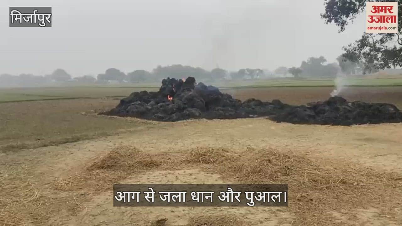 Ten bighas of straw and paddy were burnt to ashes under suspicious circumstances.