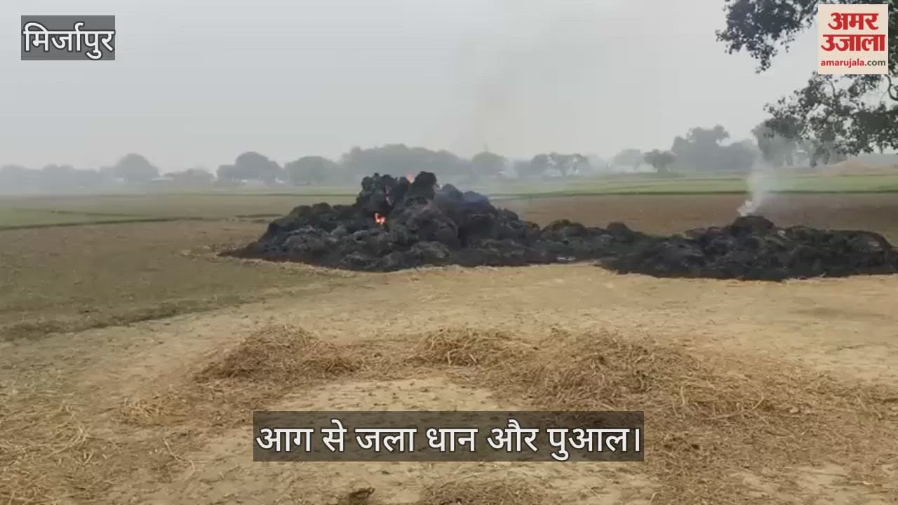 Ten bighas of straw and paddy were burnt to ashes under suspicious circumstances.