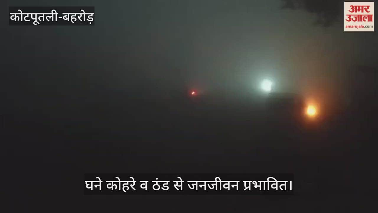 Kotputli-Behror News: Cold wave grips Kotputli-Behror, dense fog causes trouble; people stay indoors