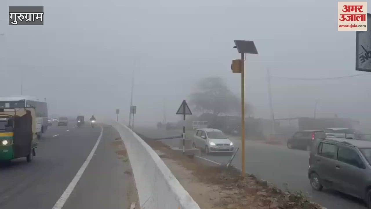 Dense fog in Manesar slowed down traffic on Delhi-Jaipur highway