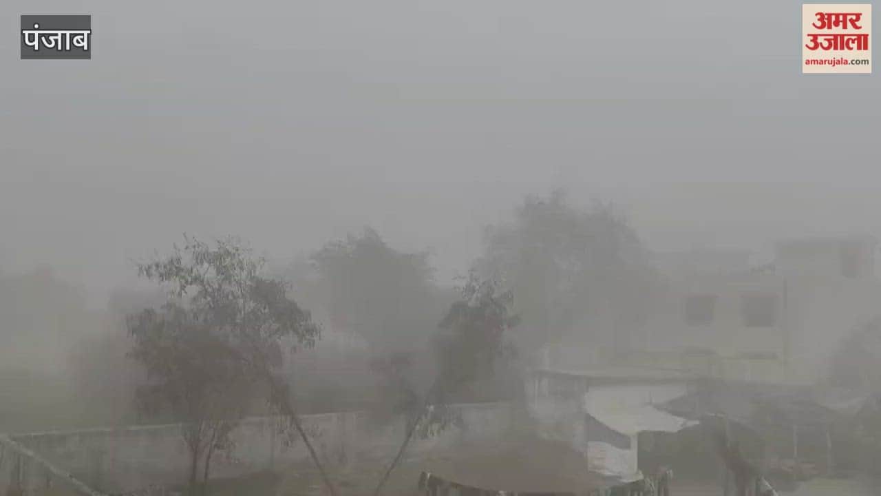 Fog in Phagwara