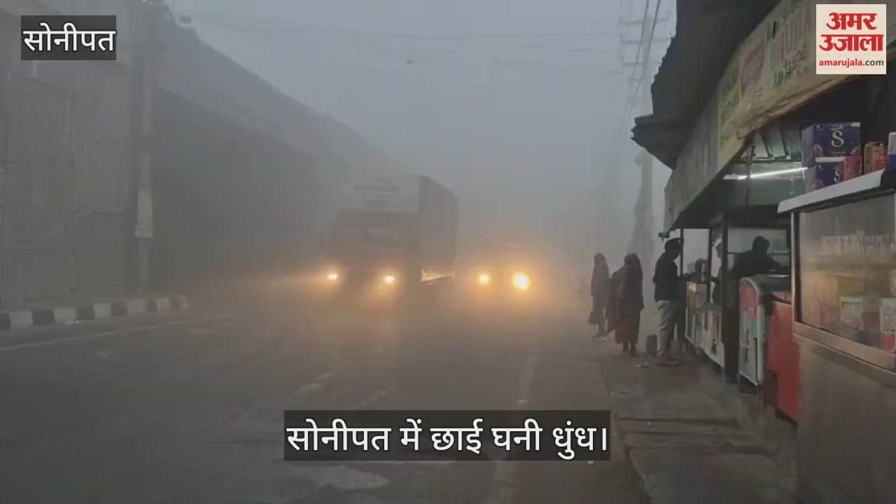 Dense Fog in Sonipat