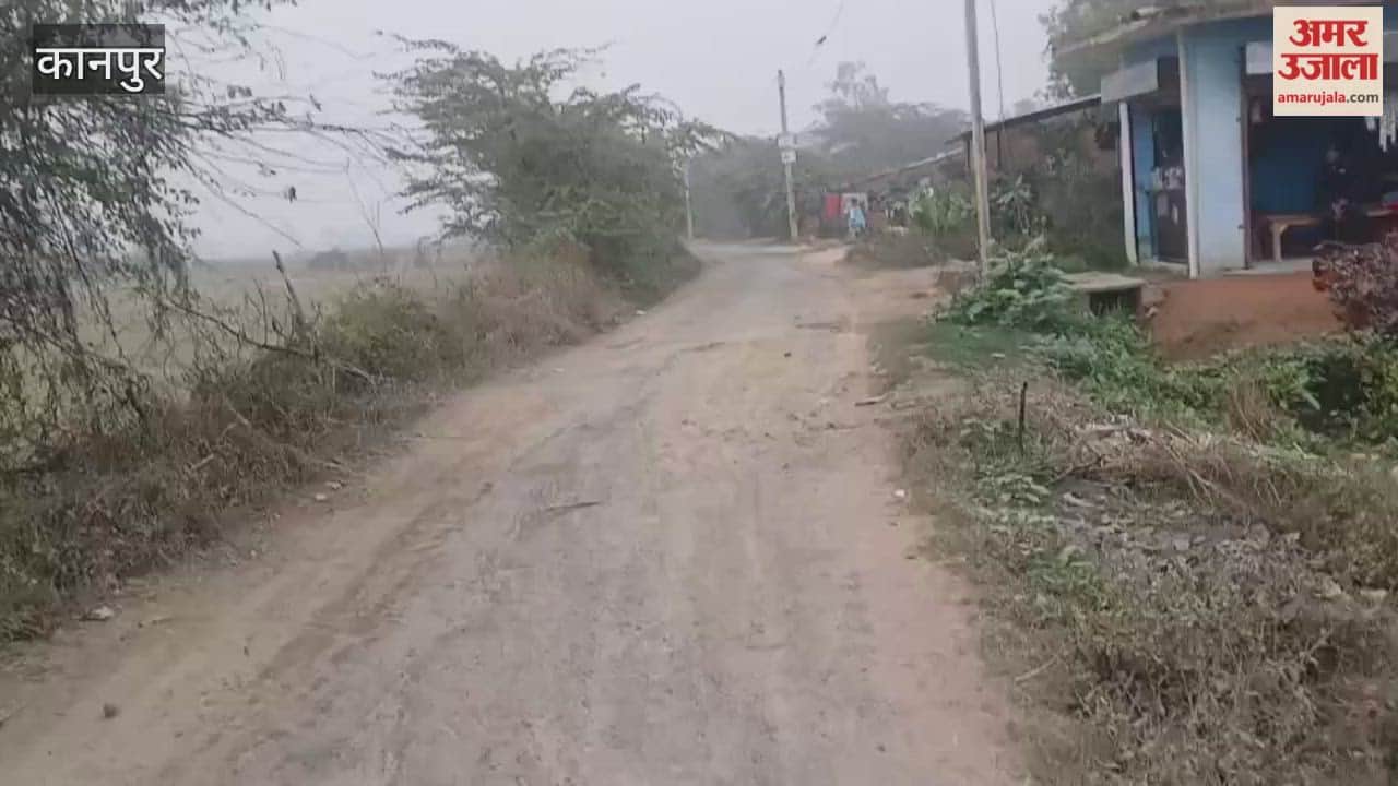 connecting road to Dahliya village is in a dilapidated condition, causing inconvenience to commuters