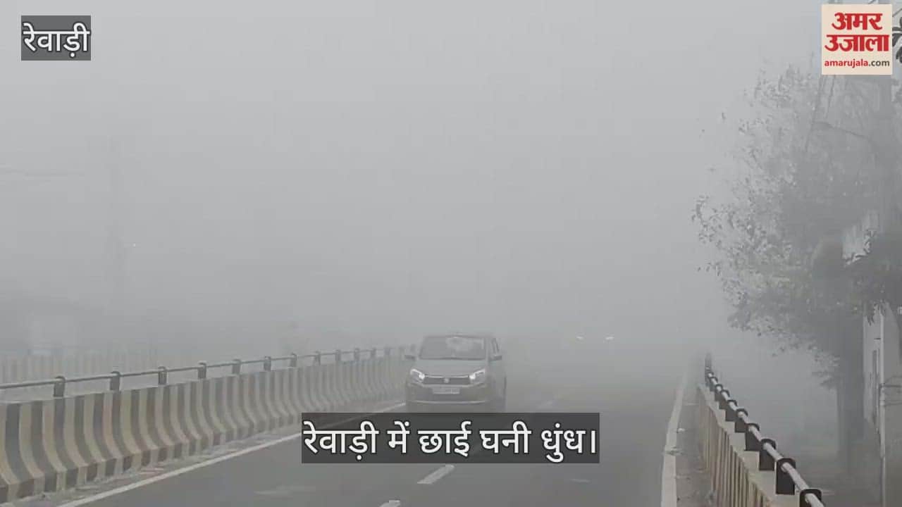 Dense fog in Rewari