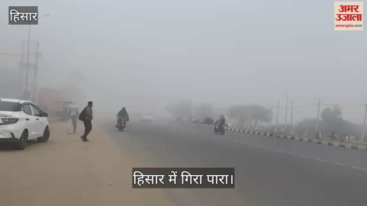 Fog in Hisar