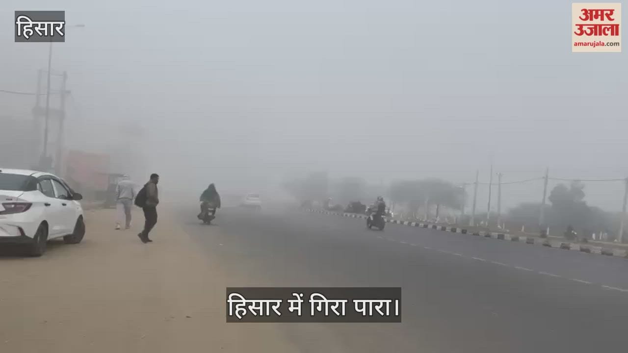 Fog in Hisar