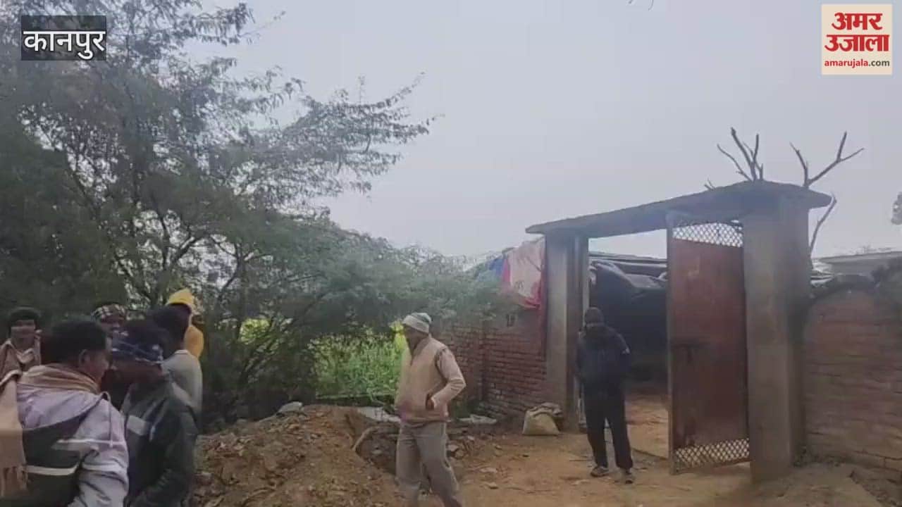 Kanpur: Three buffaloes stolen after thieves break lock of enclosure, villagers outraged