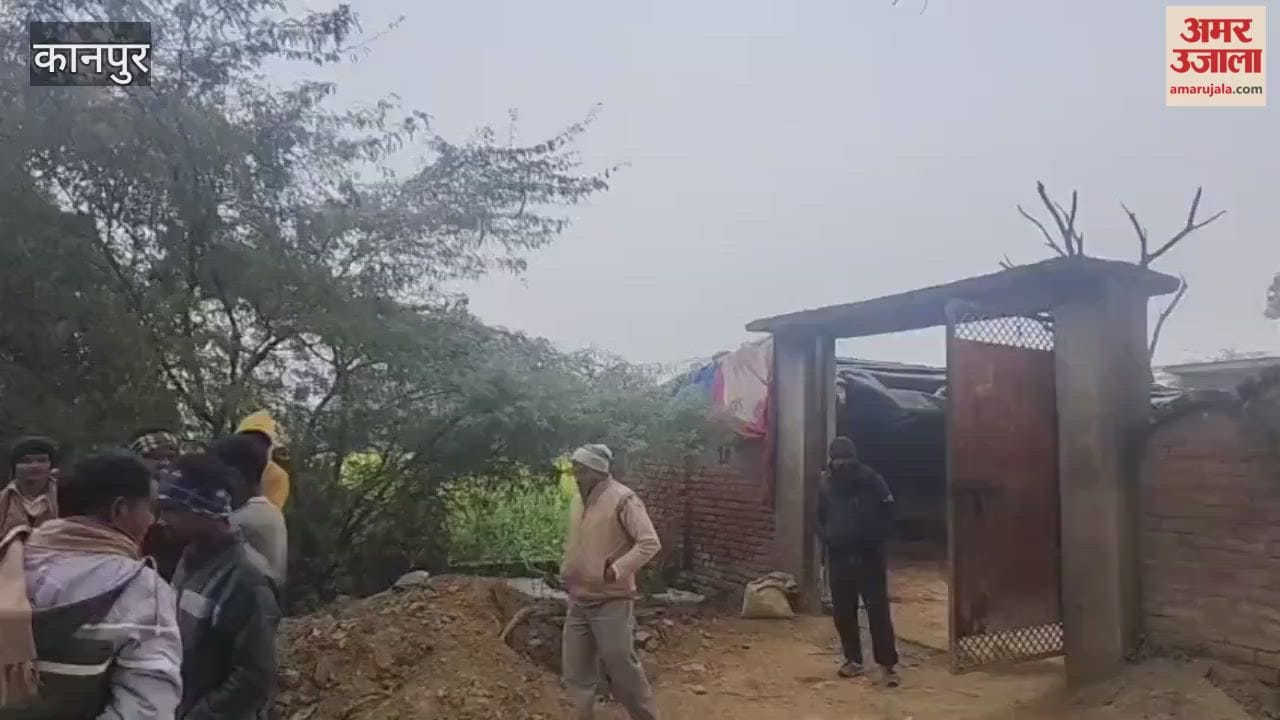 Kanpur: Three buffaloes stolen after thieves break lock of enclosure, villagers outraged