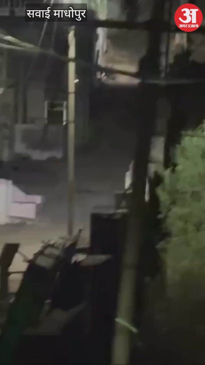 Leopard terror In Sawai Madhopur Rajasthan News