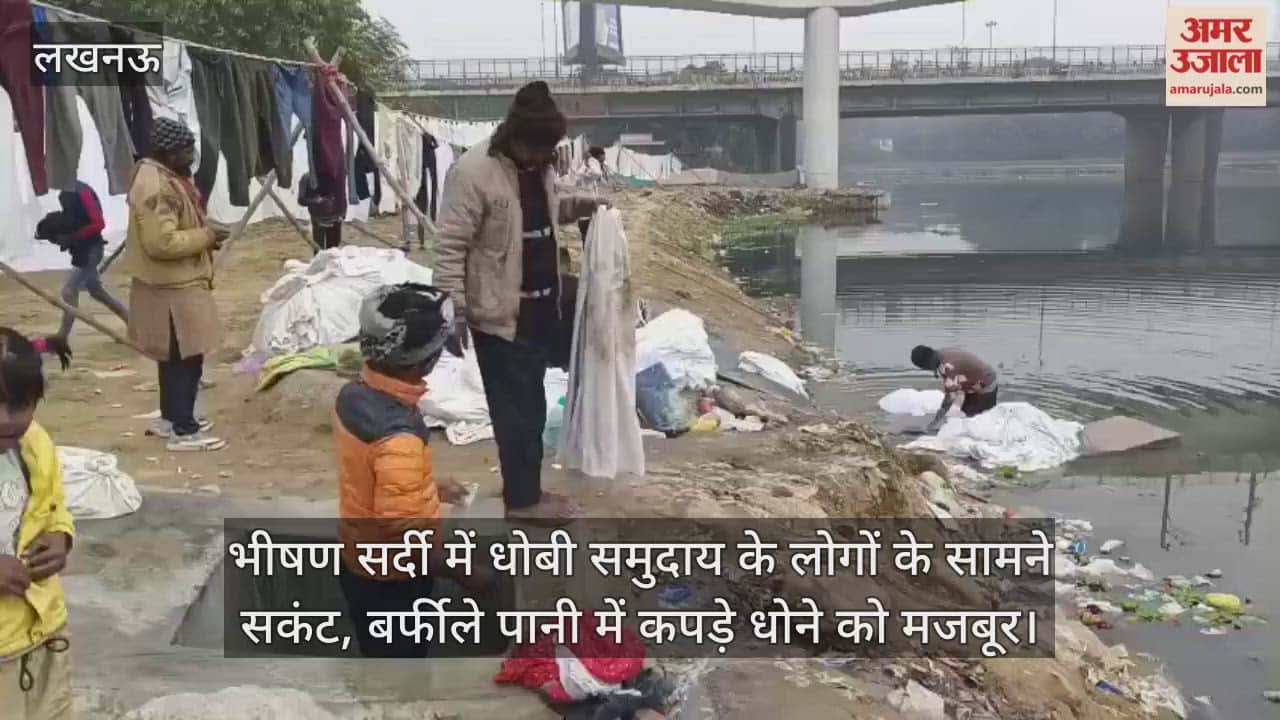 Video : भीषण सर्दी में धोबी समुदाय के लोगों के सामने सकंट, बर्फीले पानी में कपड़े धोने को मजबूर