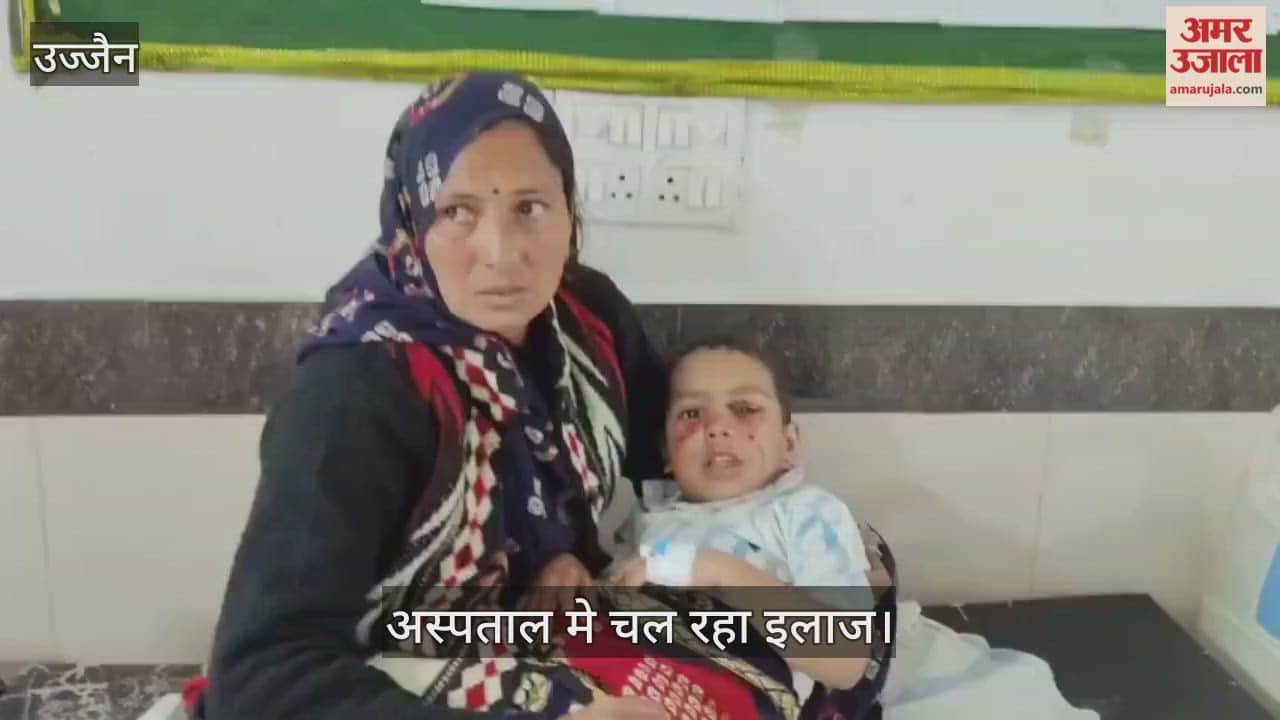 4-year-old boy attacked street dog, child tightly gripped jaws. Had neighbors present,major tragedy occurred.