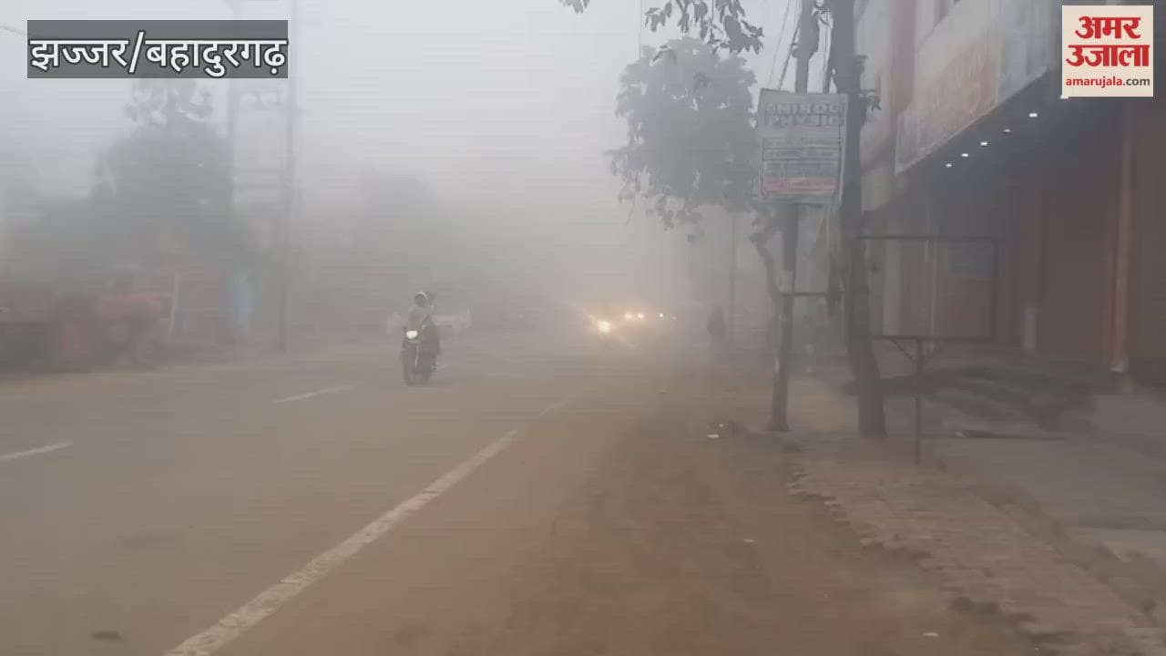 In Jhajjar, visibility remained low due to fog for the third consecutive day.