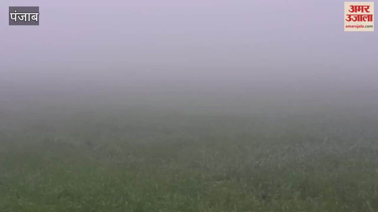 fog in moga