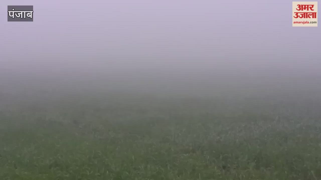 fog in moga