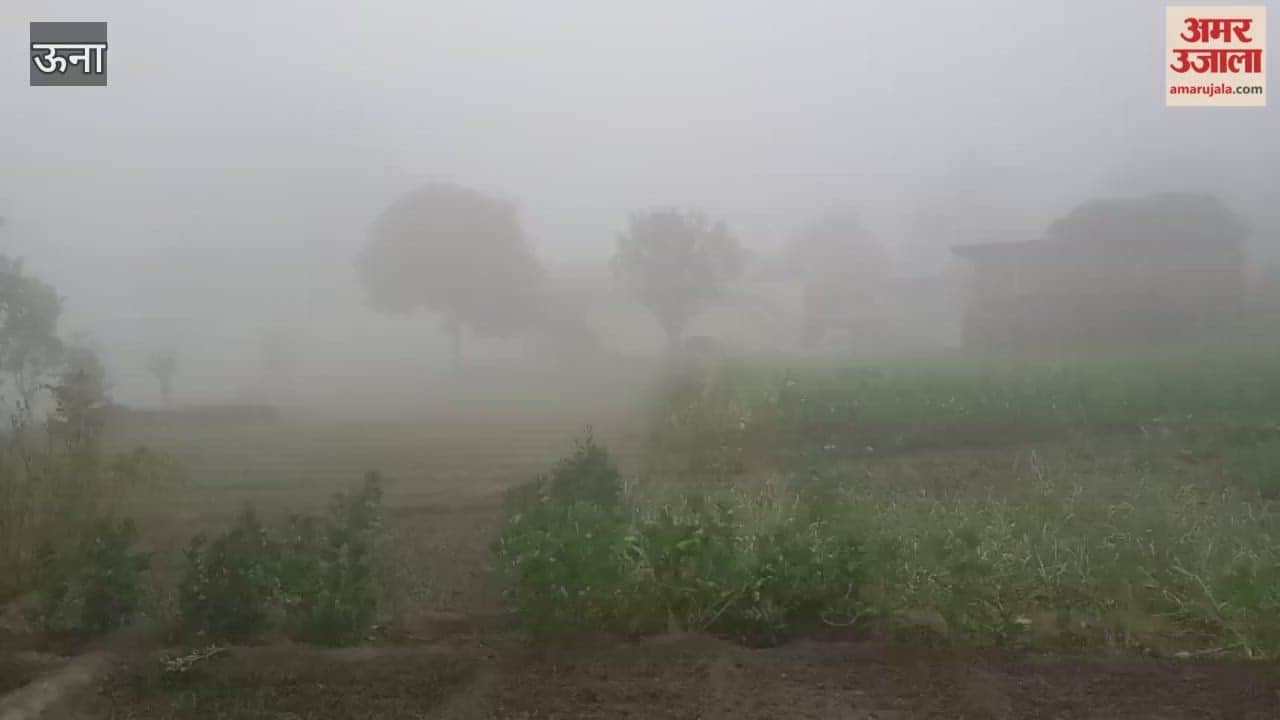 Una Dense fog wreaks havoc in Una district disrupting daily life farmers are the most affected