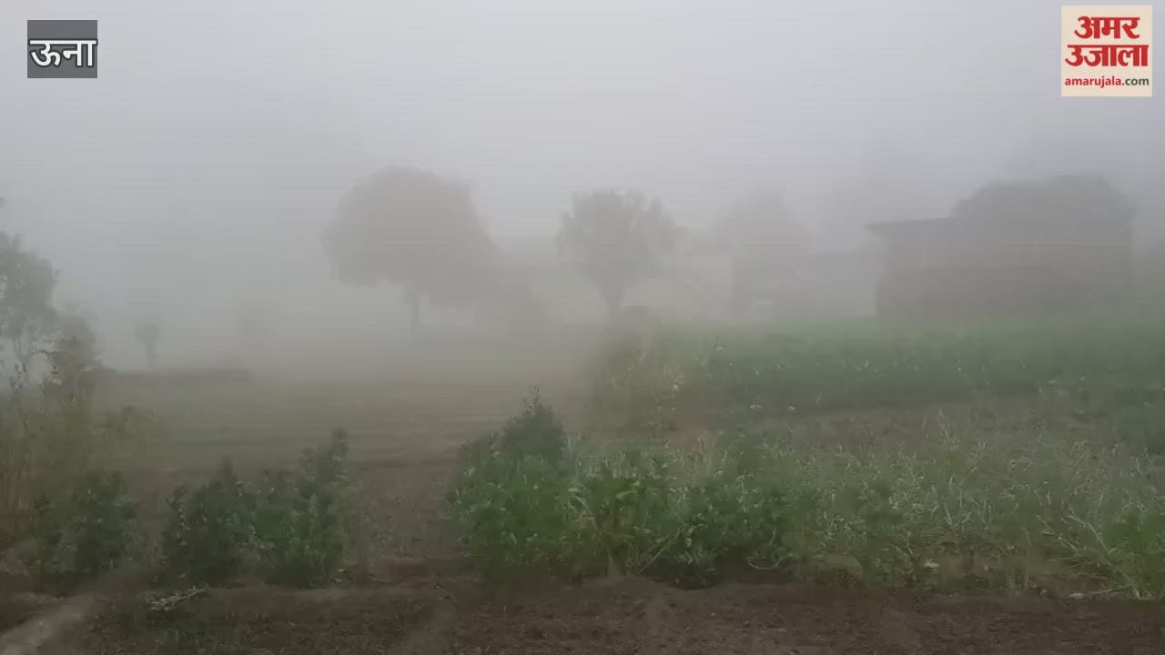 Una Dense fog wreaks havoc in Una district disrupting daily life farmers are the most affected