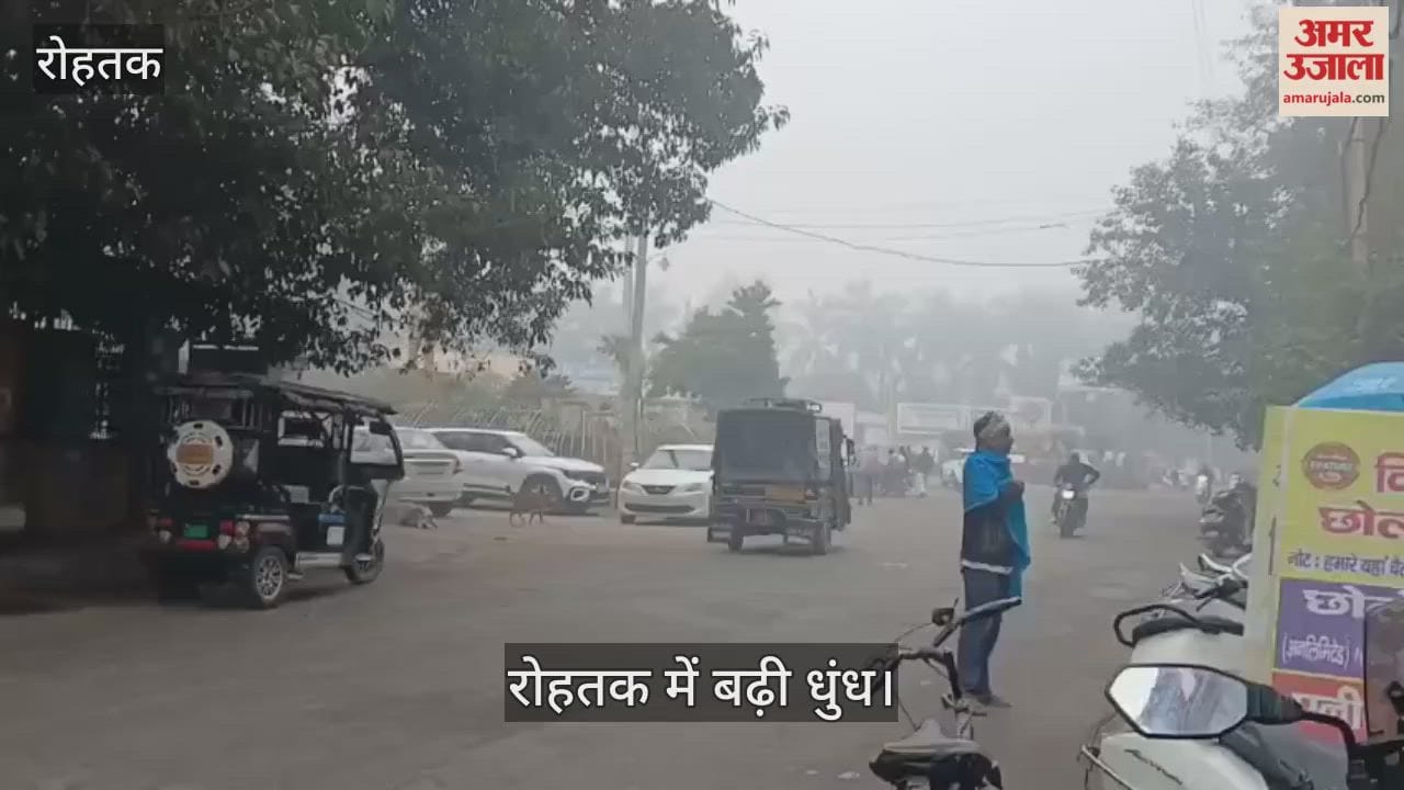Dense fog in Rohtak