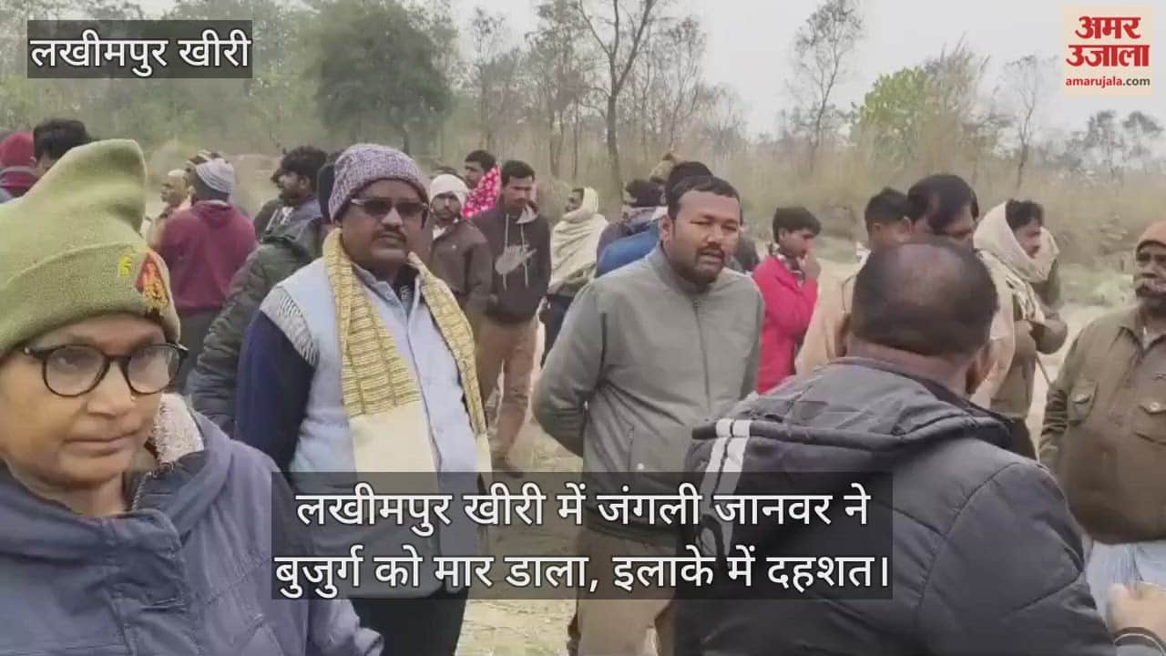 wild animal killed an elderly man in Lakhimpur Kheri