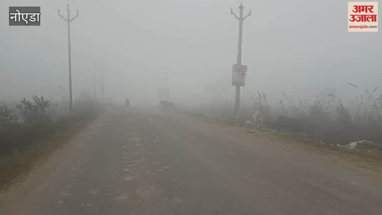 Dense fog and extremely low visibility in Jewar have increased difficulties for drivers