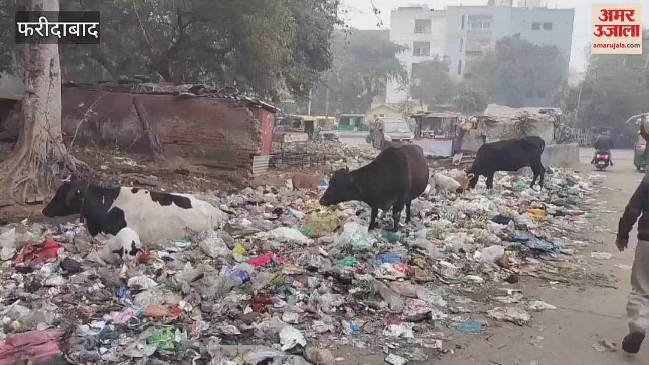 Garbage piled up on the roadside near the municipal corporation headquarters in Faridabad