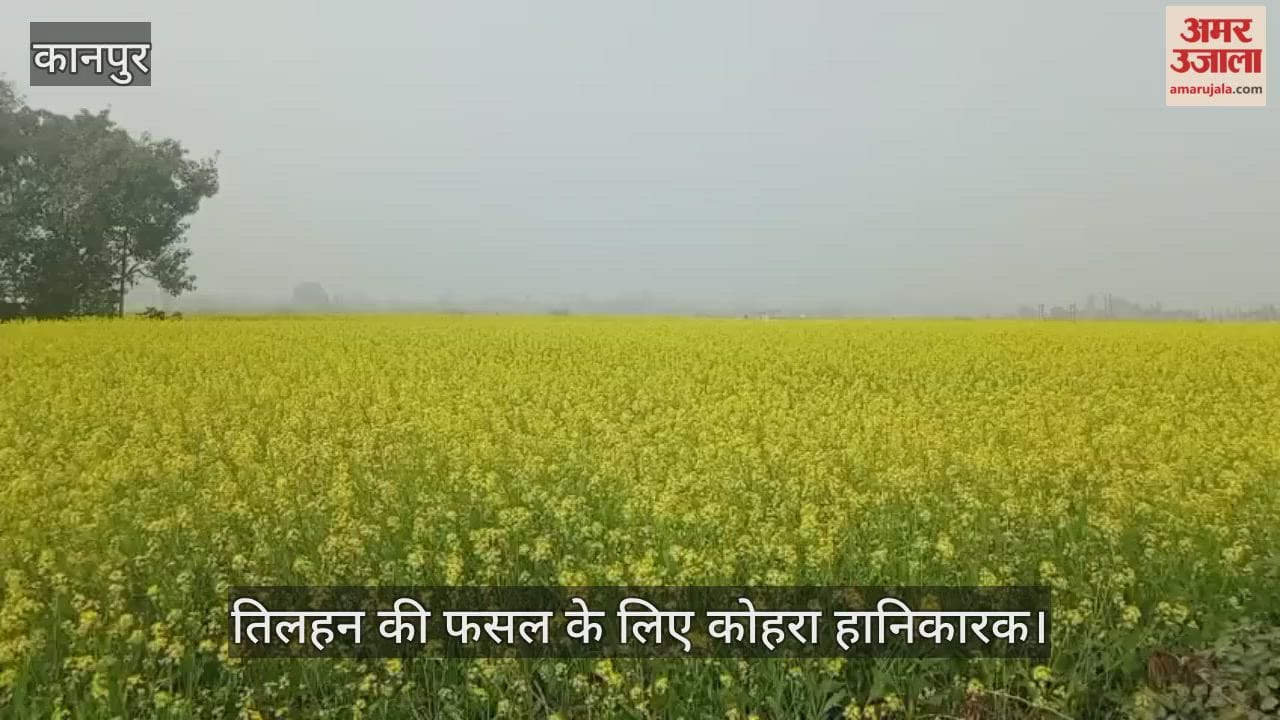 कानपुर: तिलहन की फसल पर कोहरे का कहर, मंधना और चौबेपुर के किसान संकट में