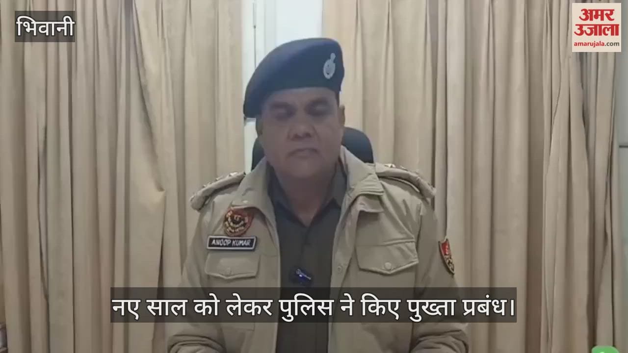 Police made elaborate arrangements for the New Year