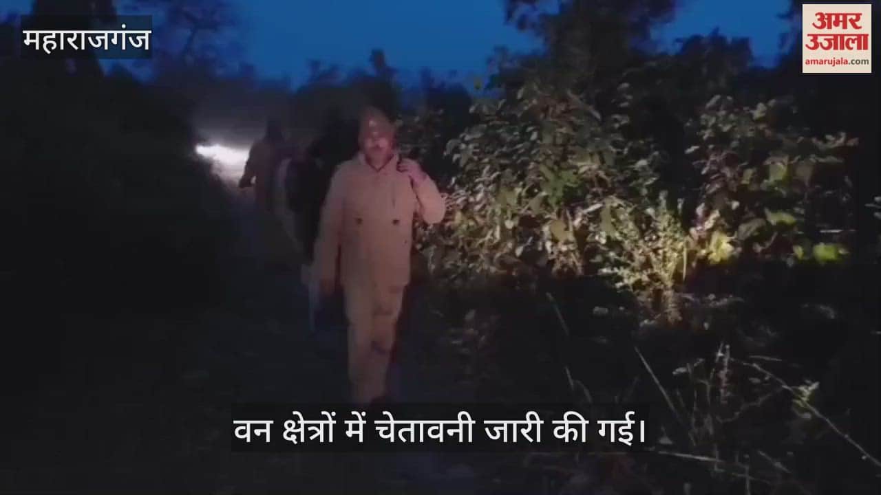 Forest department warns those going for picnics in the forest