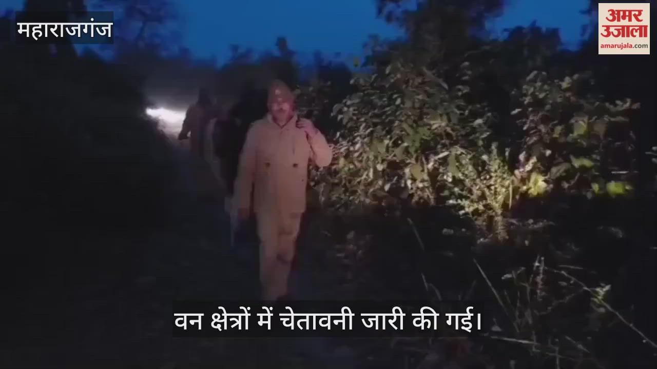 Forest department warns those going for picnics in the forest