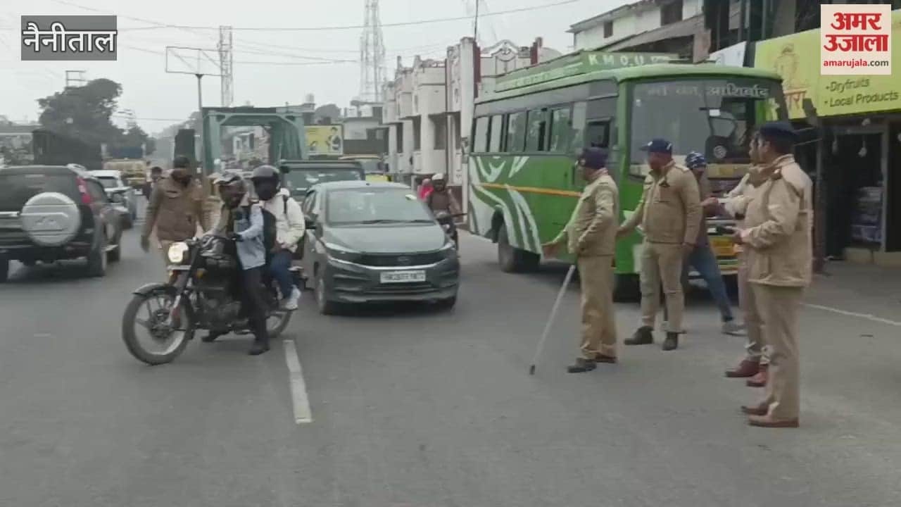 Given the increasing crowds of tourists on December 31st