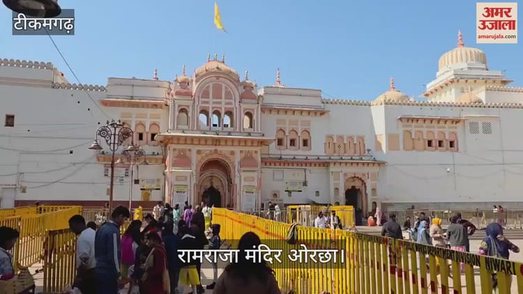 Tikamgarh News: ठंड के बावजूद ओरछा में पर्यटन चरम पर, नए साल को लेकर खास उत्साह; थिरक रहे विदेशी मेहमान