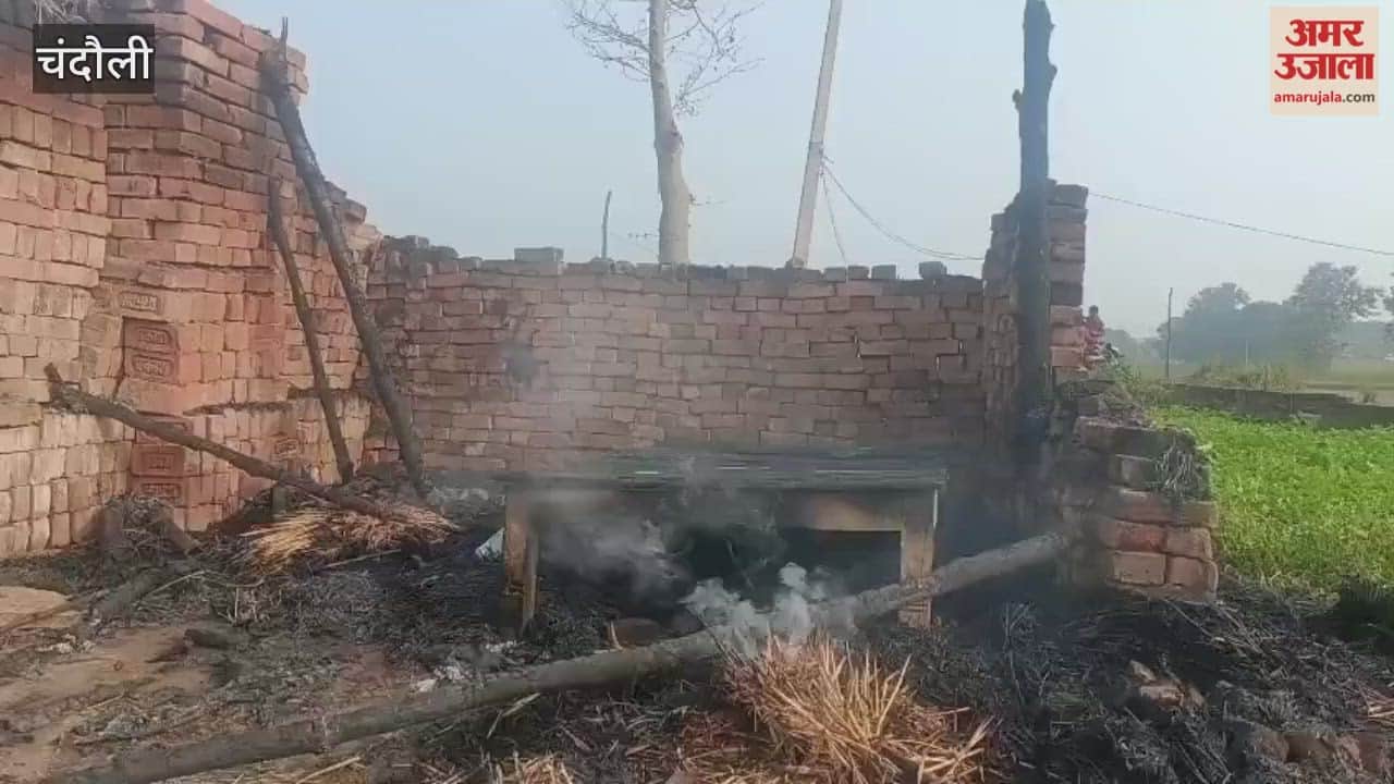 Anarchists set fire to shed livestock injured