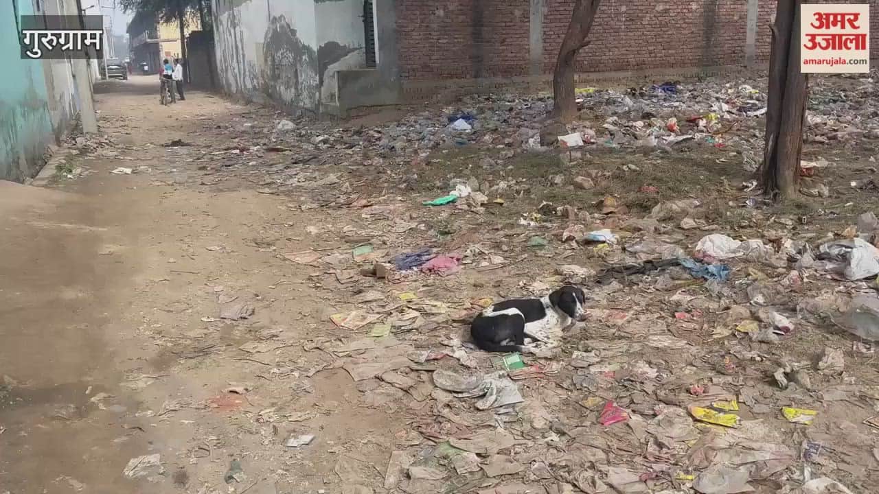 Gurugram Garbage is accumulating in the Aravalli region
