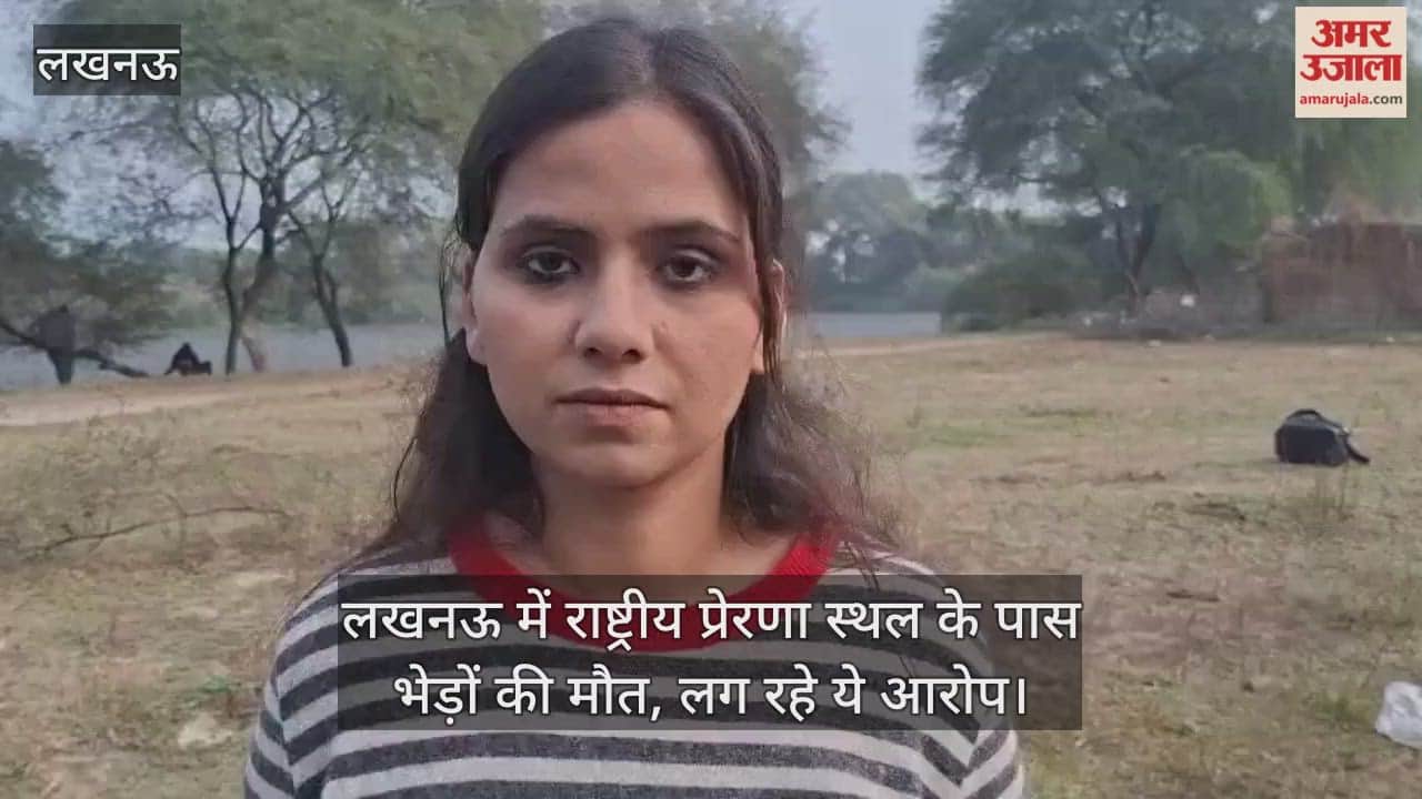 Video : लखनऊ में राष्ट्रीय प्रेरणा स्थल के पास  भेड़ों की मौत, एनजीओ संचालक चारु ने जांच के लिए शिकायत की