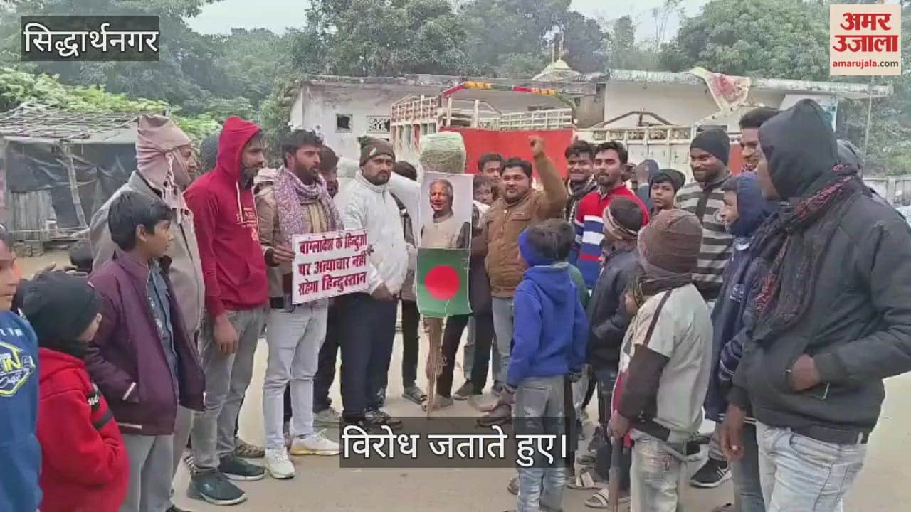 Youth protest against atrocities on Hindus in Bangladesh, burn effigy