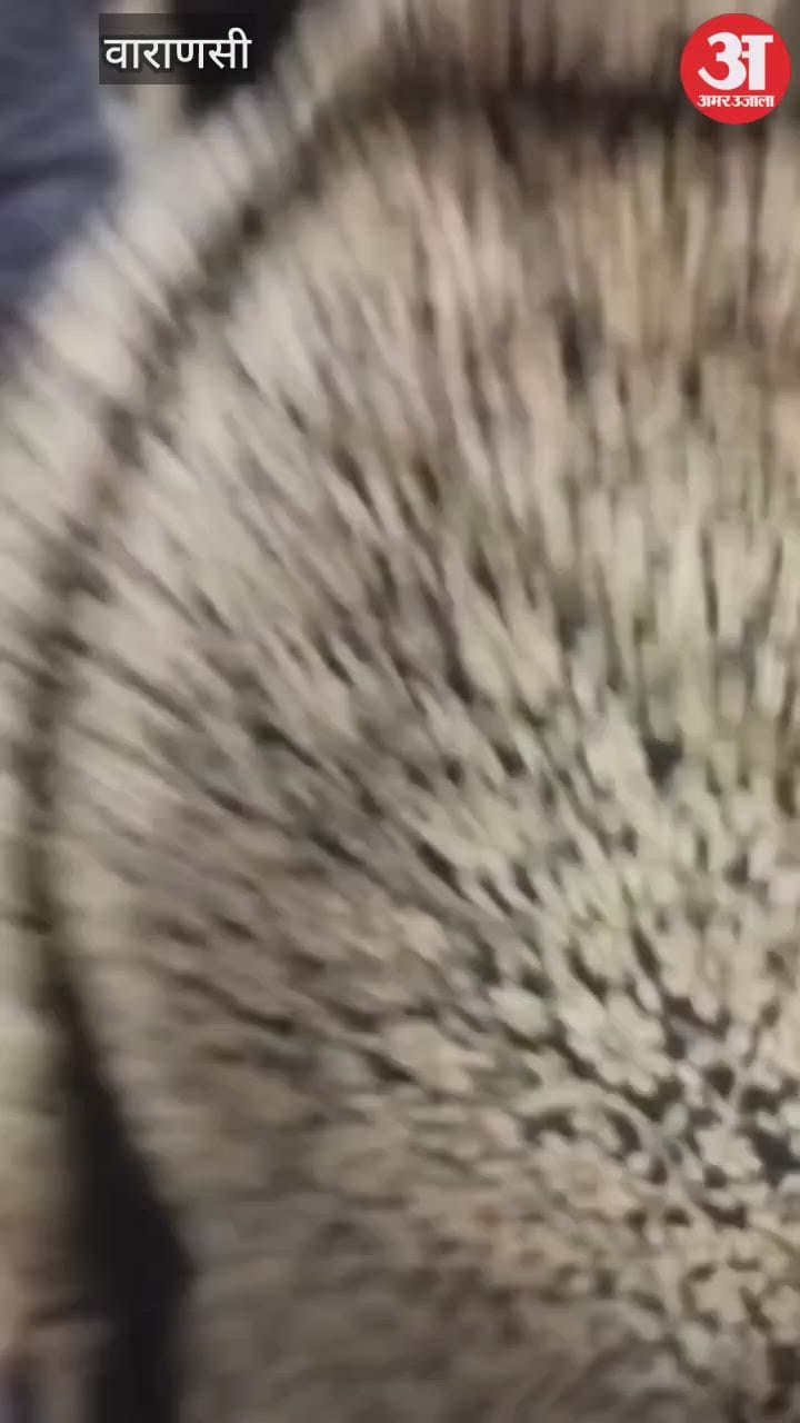 रविदास मंदिर में आग, श्रद्धालुओं को सीढ़ी लगाकर बाहर निकाला गया; VIDEO