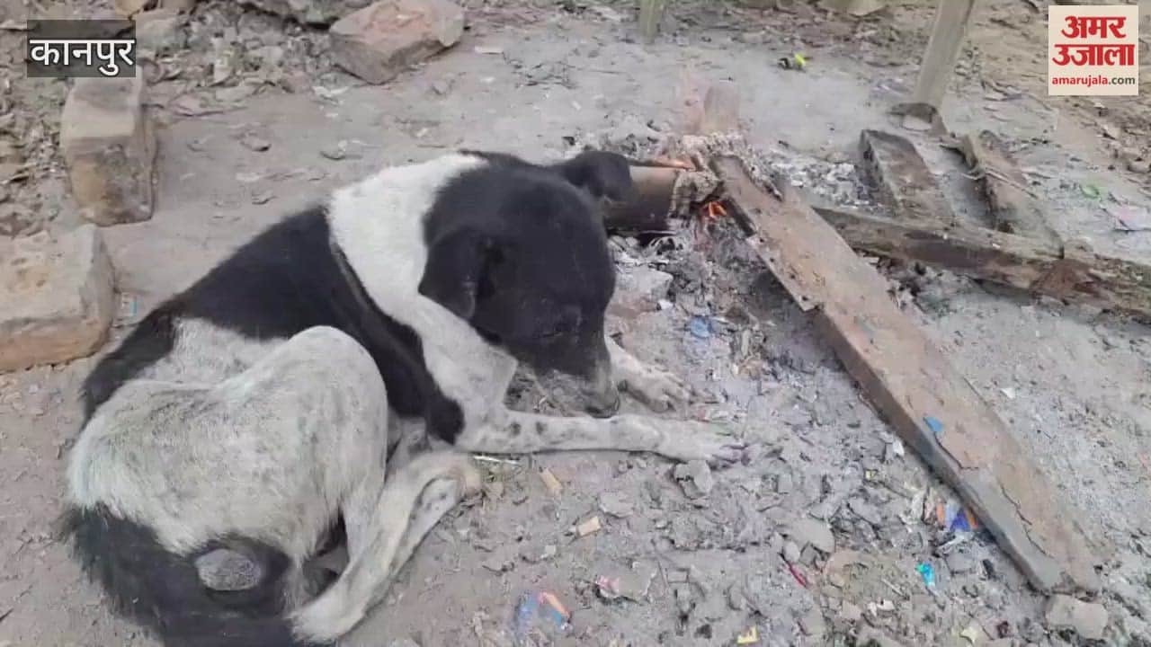 sun did not appear in the Bhitargaon area, and humidity increased in the atmosphere