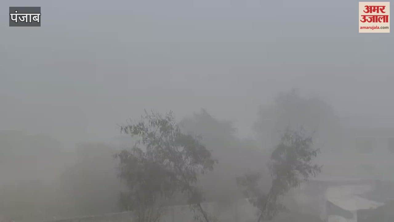 Visibility reduced due to dense fog in Phagwara.