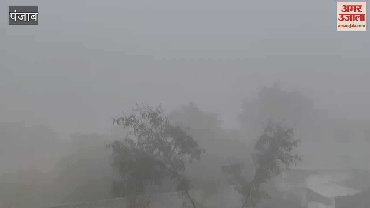Visibility reduced due to dense fog in Phagwara.