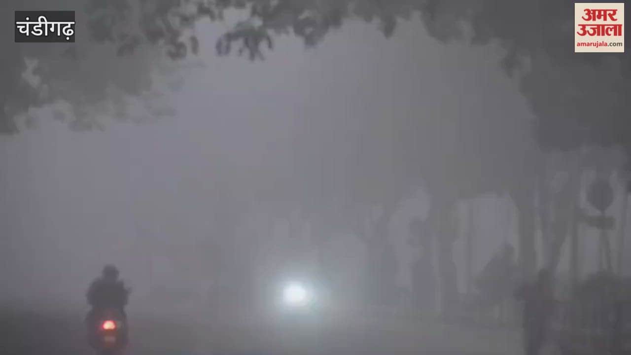 Dense Fog in Chandigarh