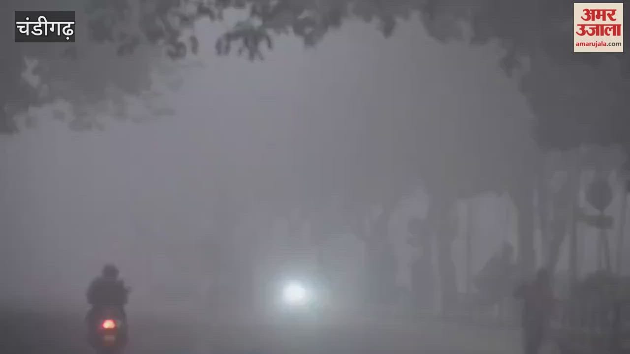 Dense Fog in Chandigarh