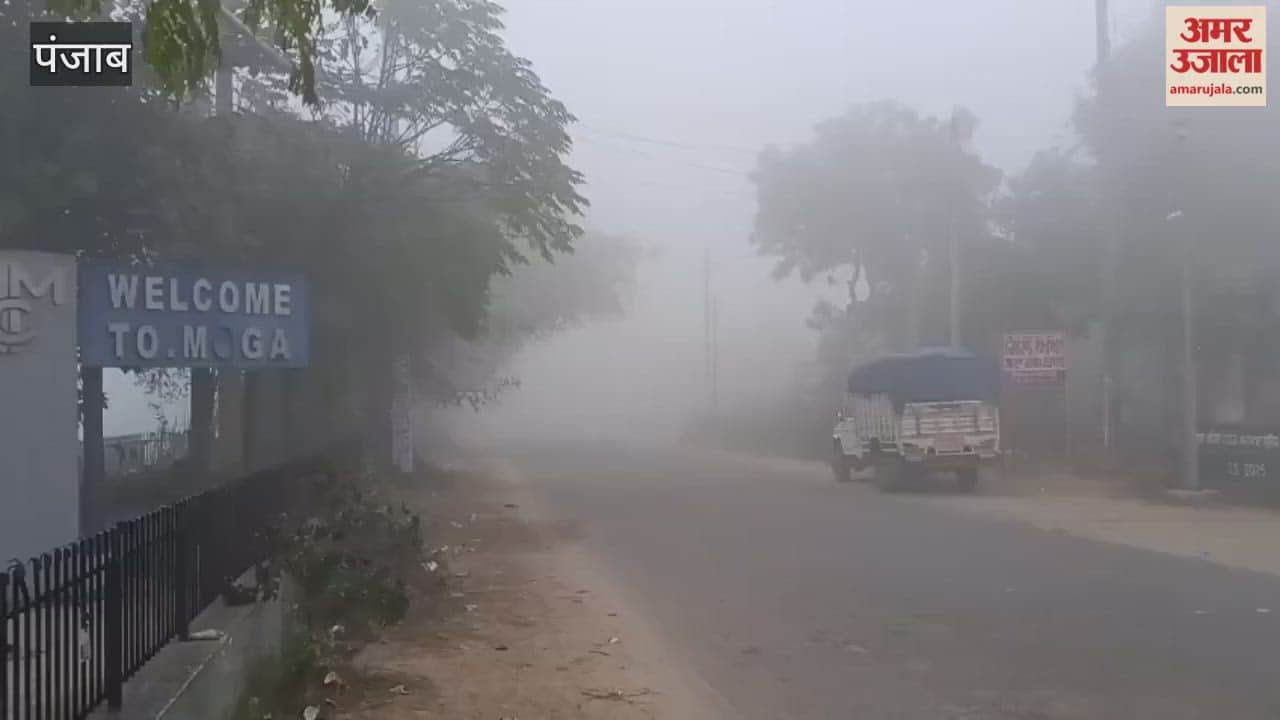 Fog in Moga