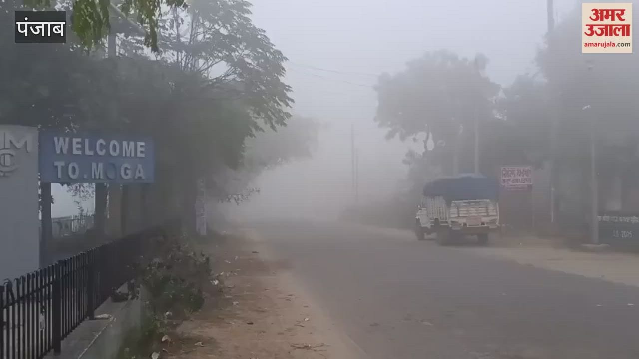 Fog in Moga
