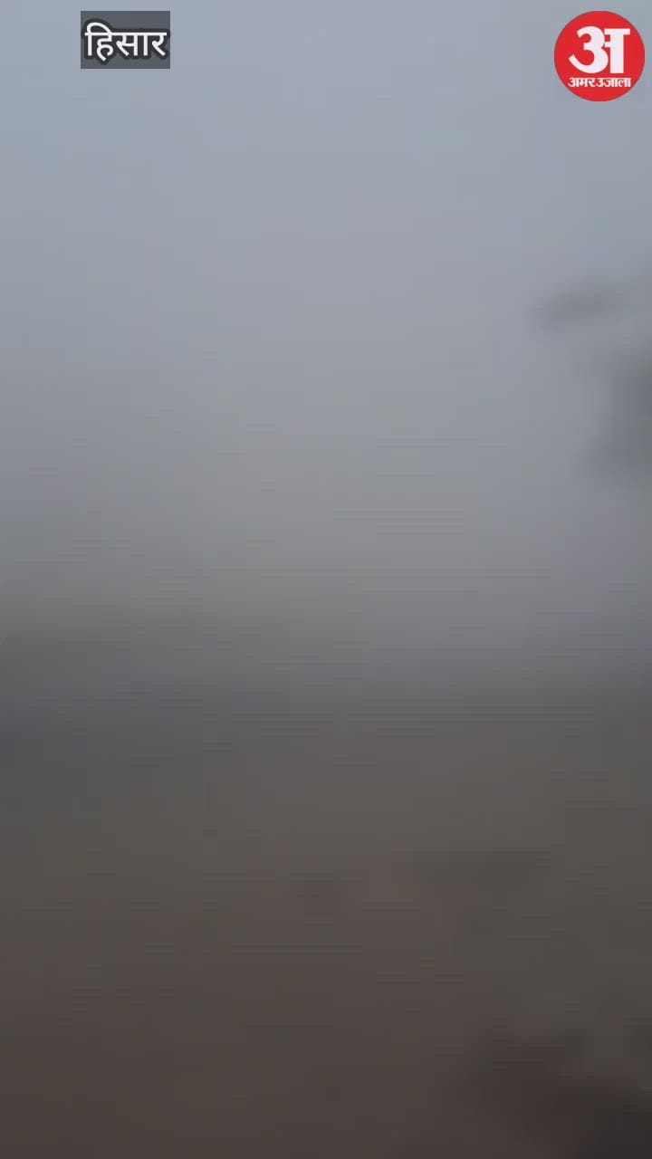 हिसार: घने कोहरे के चलते रोडवेज-ट्रेन की रफ्तार पर ब्रेक, जनजीवन बाधित